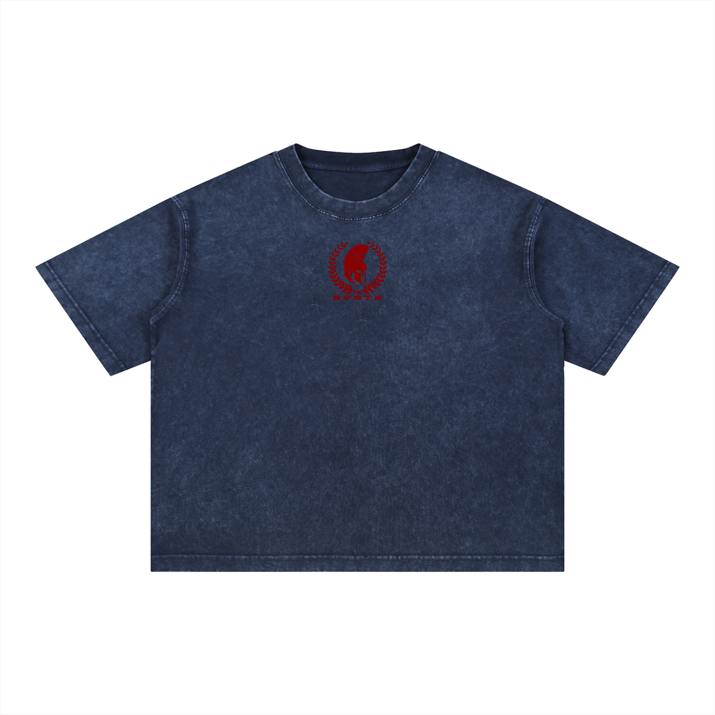 ASCEND Mineral Wash Boxy Cotton T-Shirt