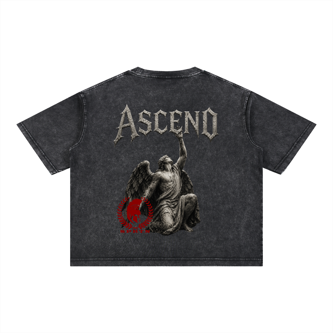 ASCEND Mineral Wash Boxy Cotton T-Shirt
